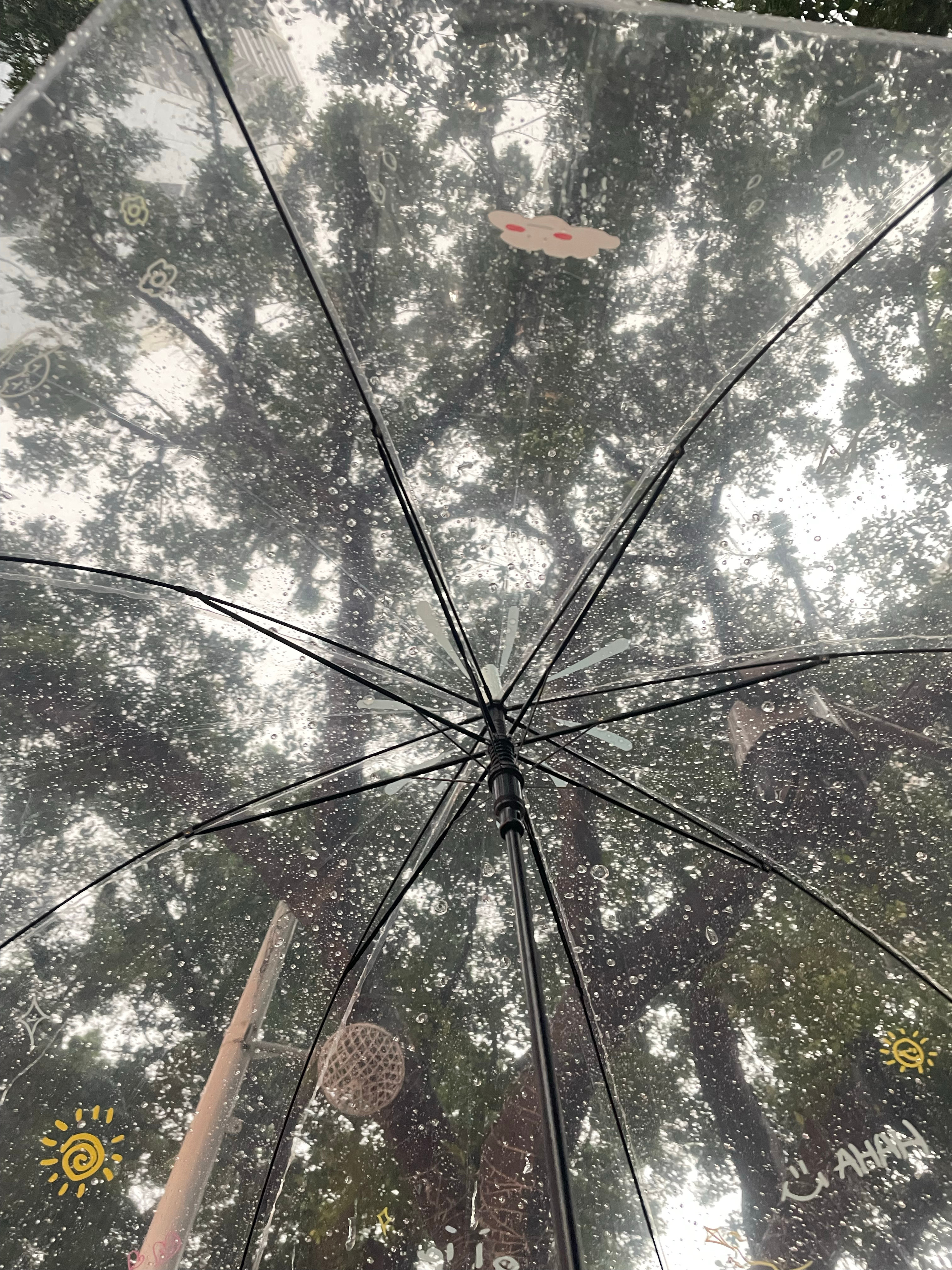 不是暴晒☀️就是暴雨⛈️，但我心情不差