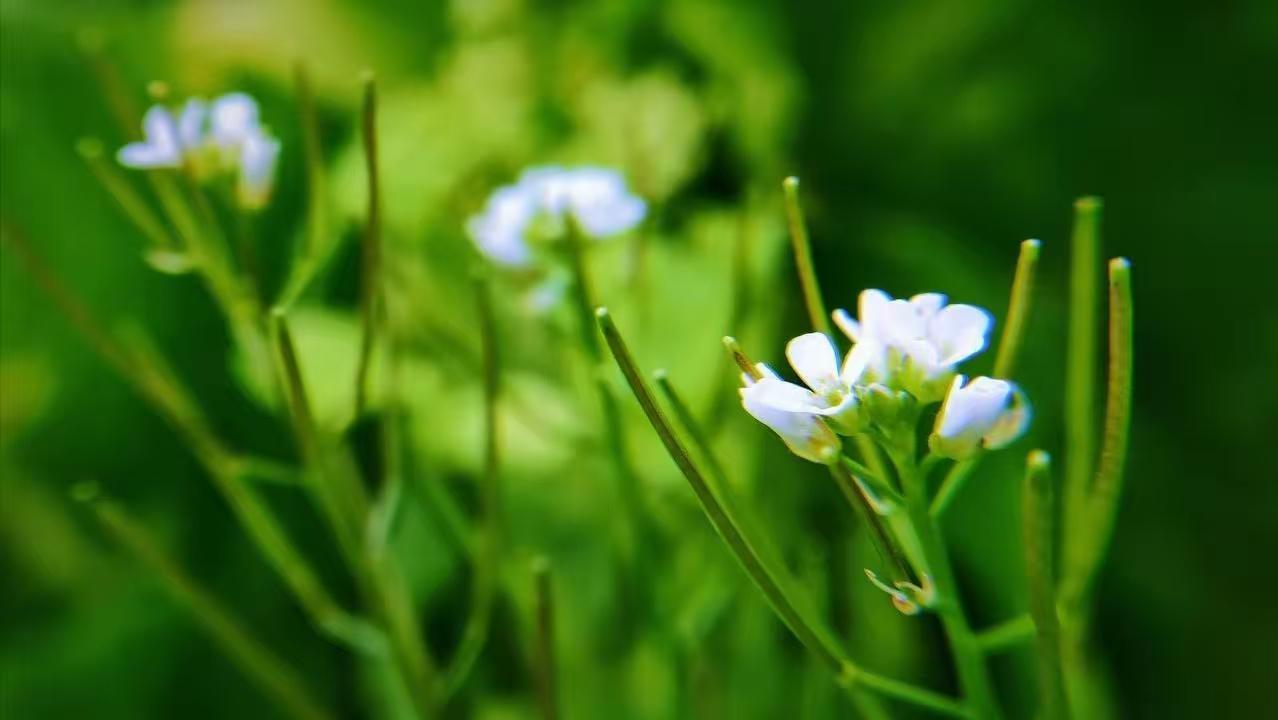 老伴刚走一个月，男人就去相亲了。

有个朋友，老两口一直很恩爱，是我们朋友群里的