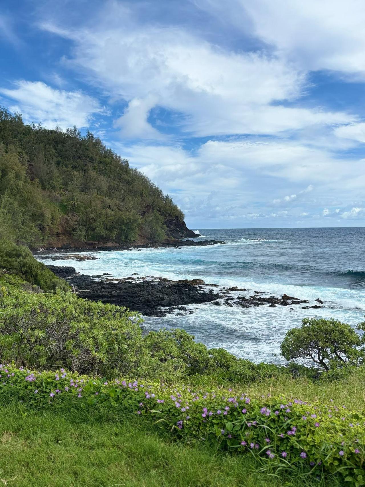 冬日生活打卡季