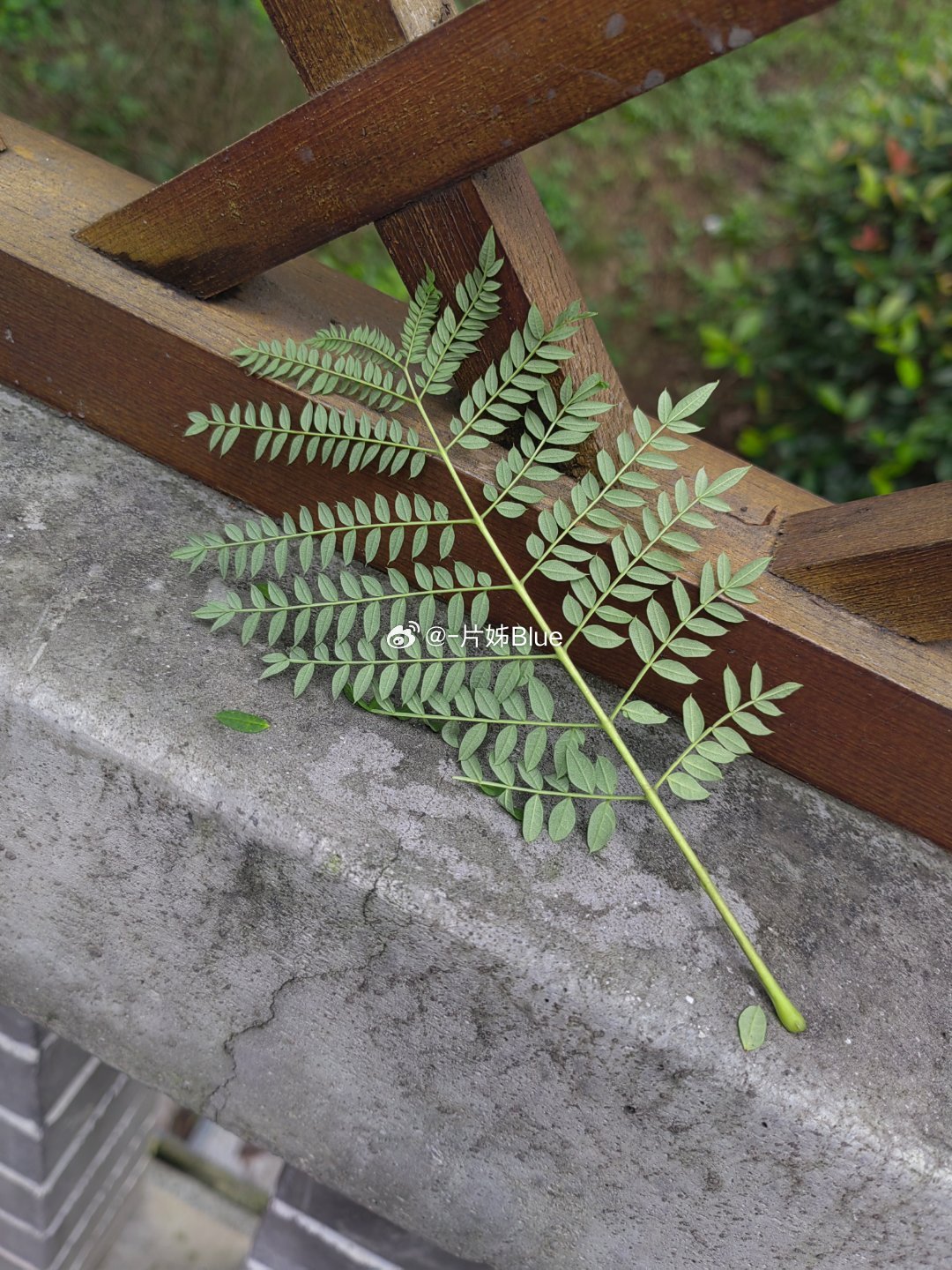 如果要用一整个夏天的沉默才能去对赌一场台风的登陆那改变了的路线就像一场戏谴所有悬