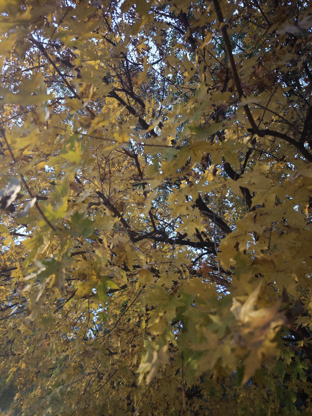 做投资，怕你不够贪，又怕你太贪，技术分析背后还是心理的博弈