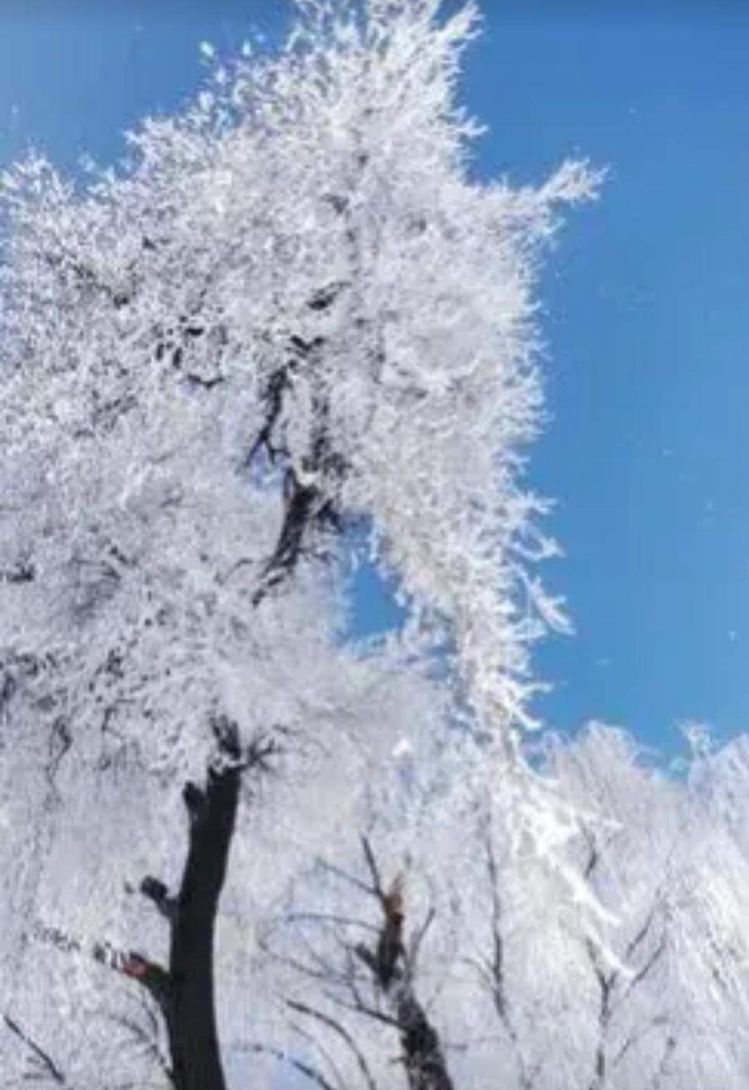 谢邀
上联：冬雪又白老树，
下联：春雨再绿新枝，
下联：秋霜悄染红叶。