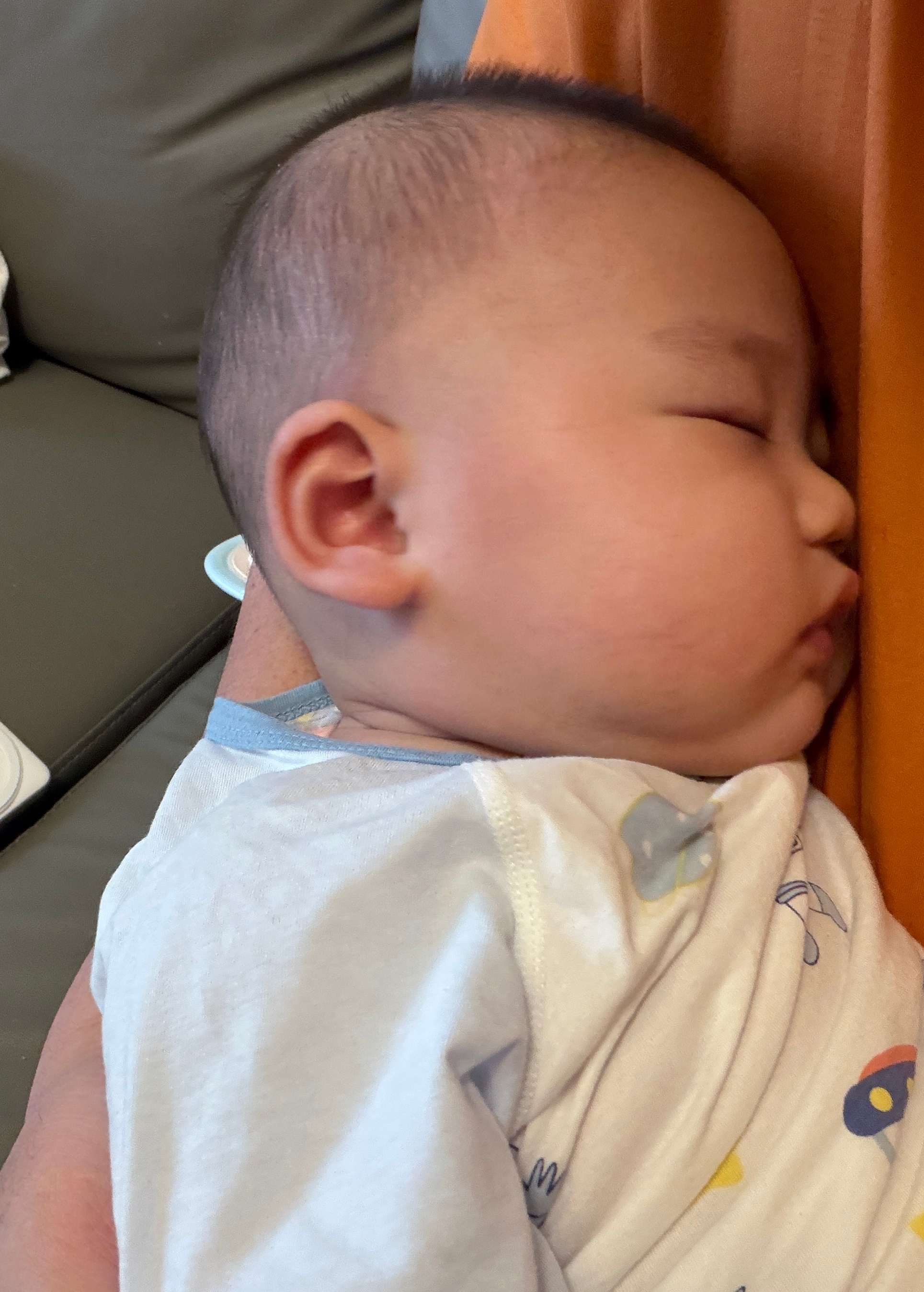 喝完奶接着呼呼睡大觉快五个月啦，目前来看表现很乖，情绪价值可谓是给满了