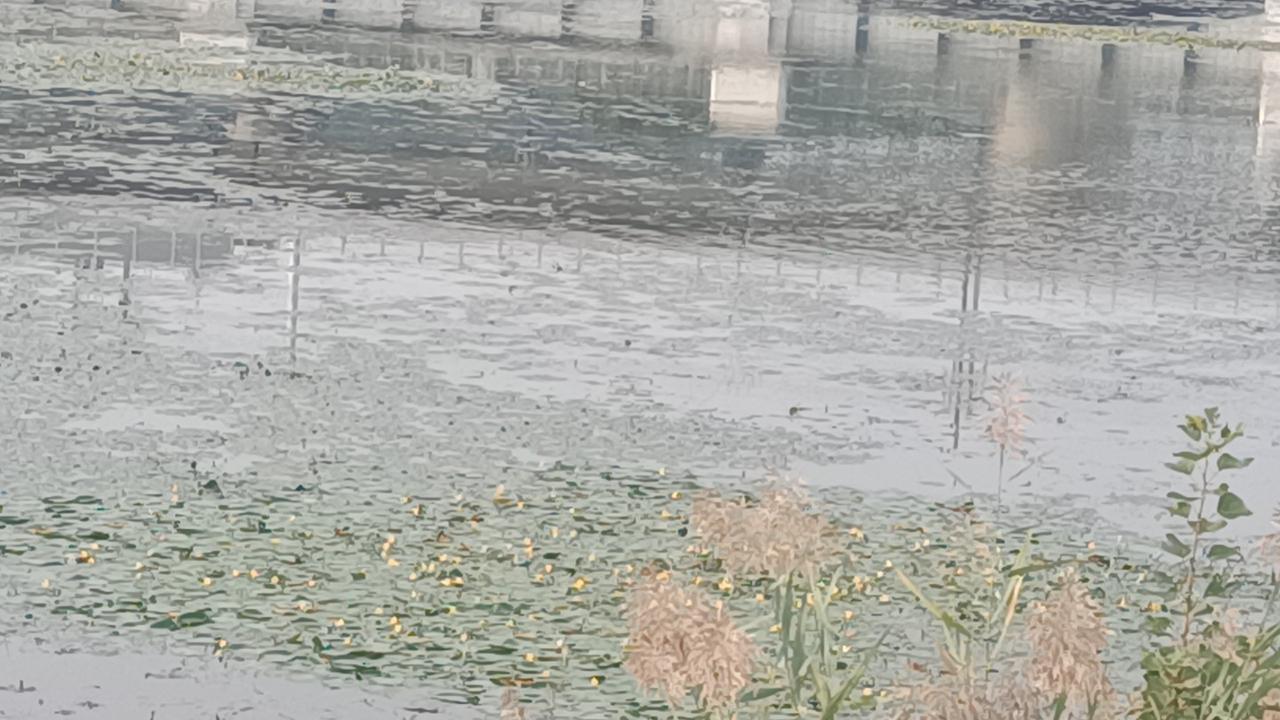 看杀卫玠


卫玠是魏晋时期的名士，也是出了名的美男子。据说他长的超凡脱俗，面容