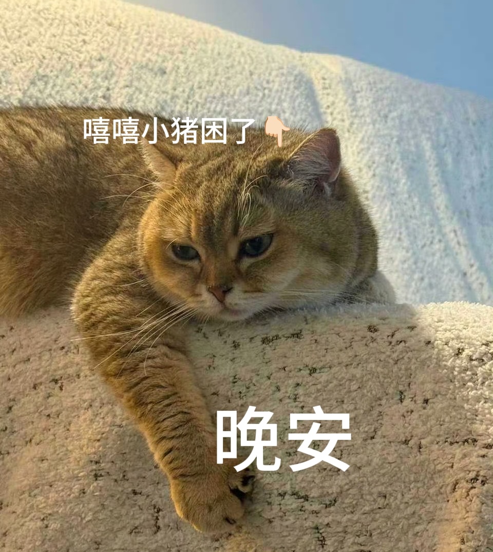 这辈子睡的最早的一次。晚安。 