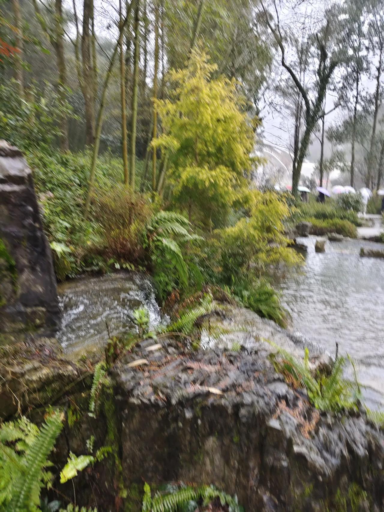 上联：细雨滋芳草，诚邀下联清风拂翠杨