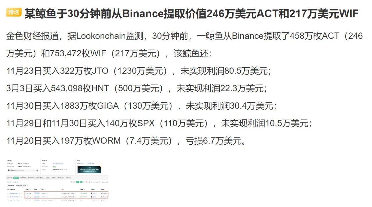 某鲸鱼于30分钟前从Binance提取价值246万美元ACT和217万美元WIF