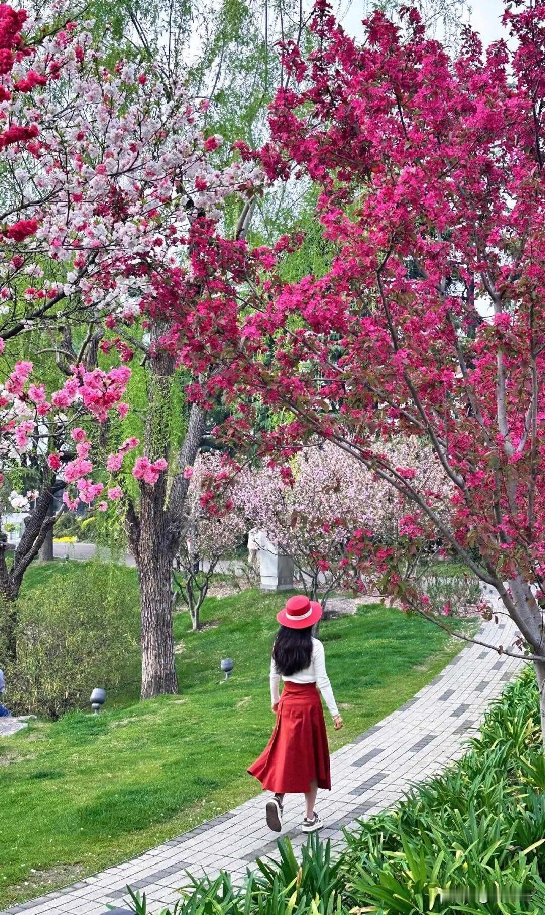 猜猜看，这个美丽的背影……有多大岁数？
这张照片挺美的吧？我也觉得挺美的。
你看