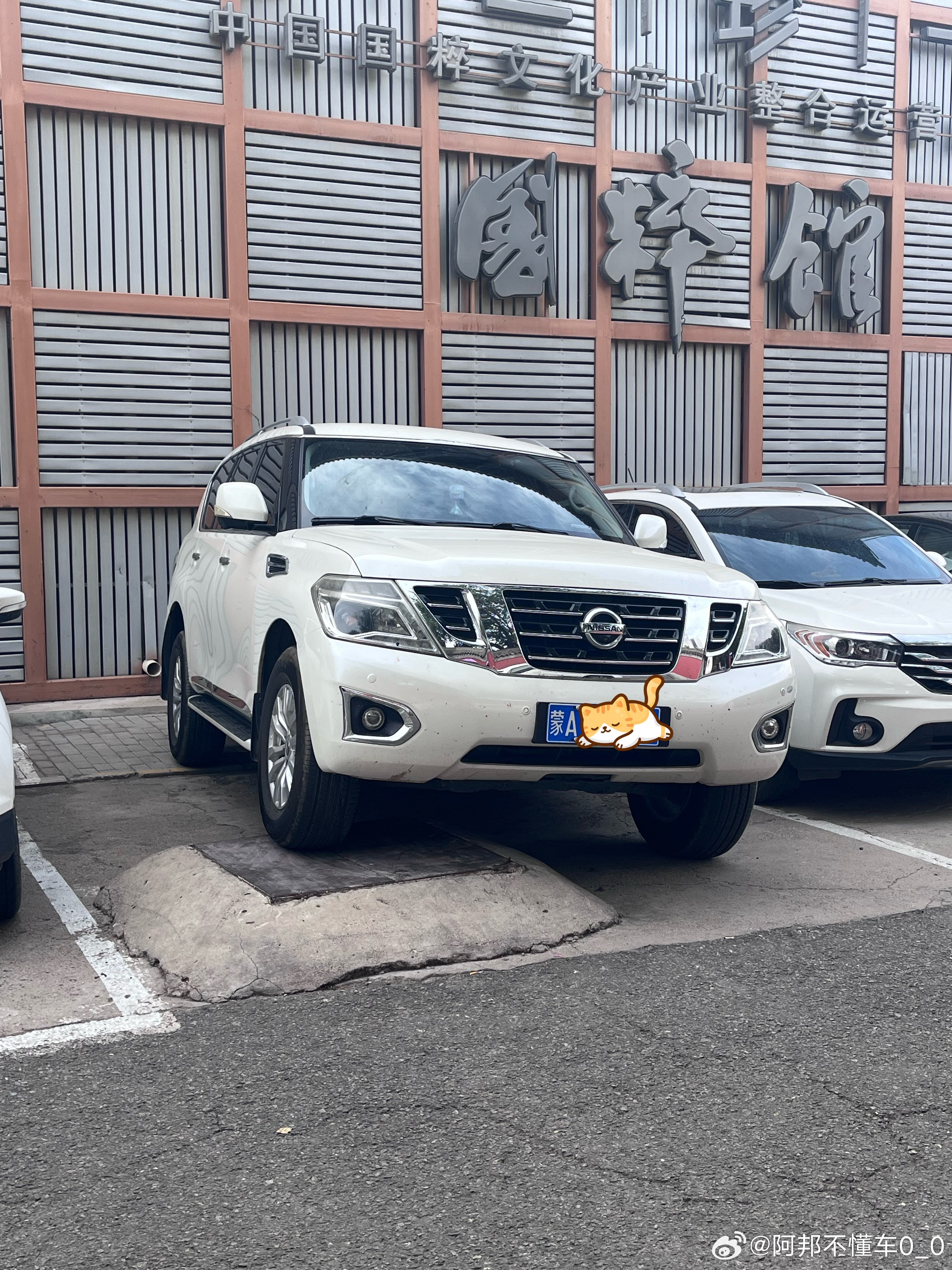 还得是长行程的硬派越野车，这种停法，一般车真不行。只能用专车专位来形容了，恰如其