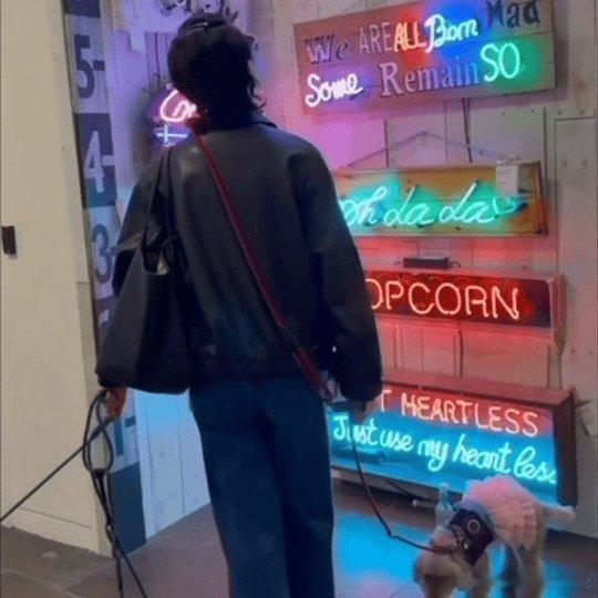 张曼玉牵狗上班原来女神的包包里不只放口红，还装着狗狗零食～ 