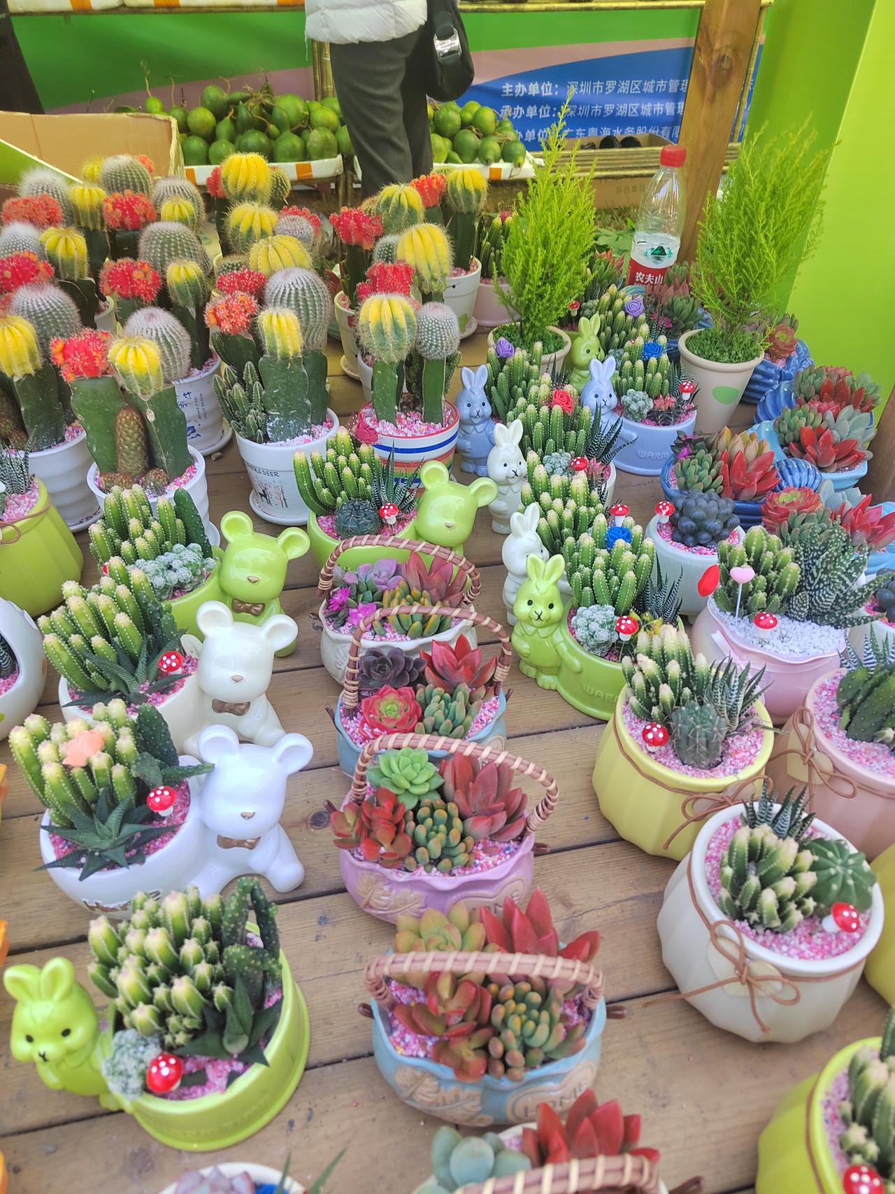 昨天还阳光灿烂，今天就开始下雨了，现在的日子不光是天气不稳定，人的情绪也很浮动，