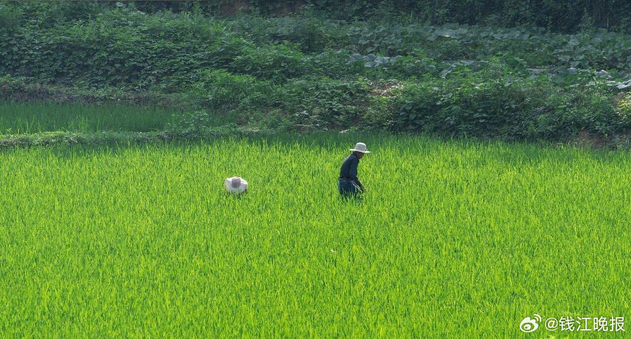 #两会潮客厅# 【#两会民生好声音何以刷屏#】今年两会期间，一些民生方面建议或提