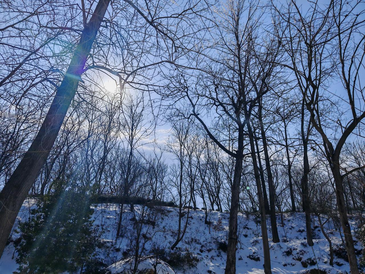 极端天气来袭，小学、初中20日、21日停课两天，高中19日下午放假，今天下午上学