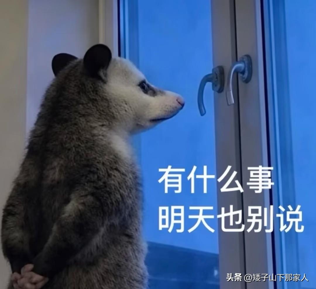 佛系青年