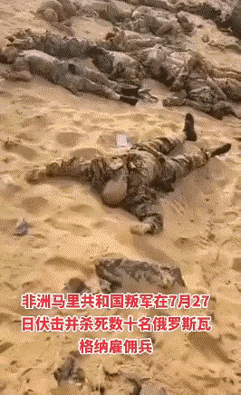 “瓦格纳”雇佣兵被马里游击队伏击伤亡惨重，看来没有普里戈金这铁血灵魂人物，瓦格纳