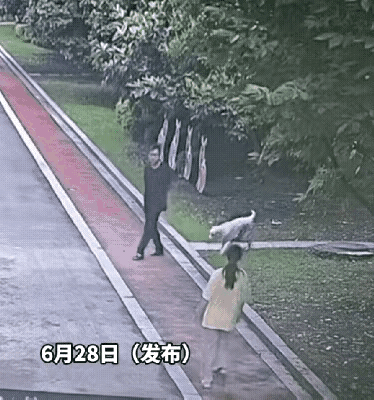 难道不咬人的狗，就可以不用拴绳吗？视频里一位年轻女孩正独自走在路上，突然一条大狗