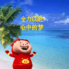 今年高考是08年出生的时光匆匆，08年降生的少年迎来高考。多年勤学苦读，愿大家沉