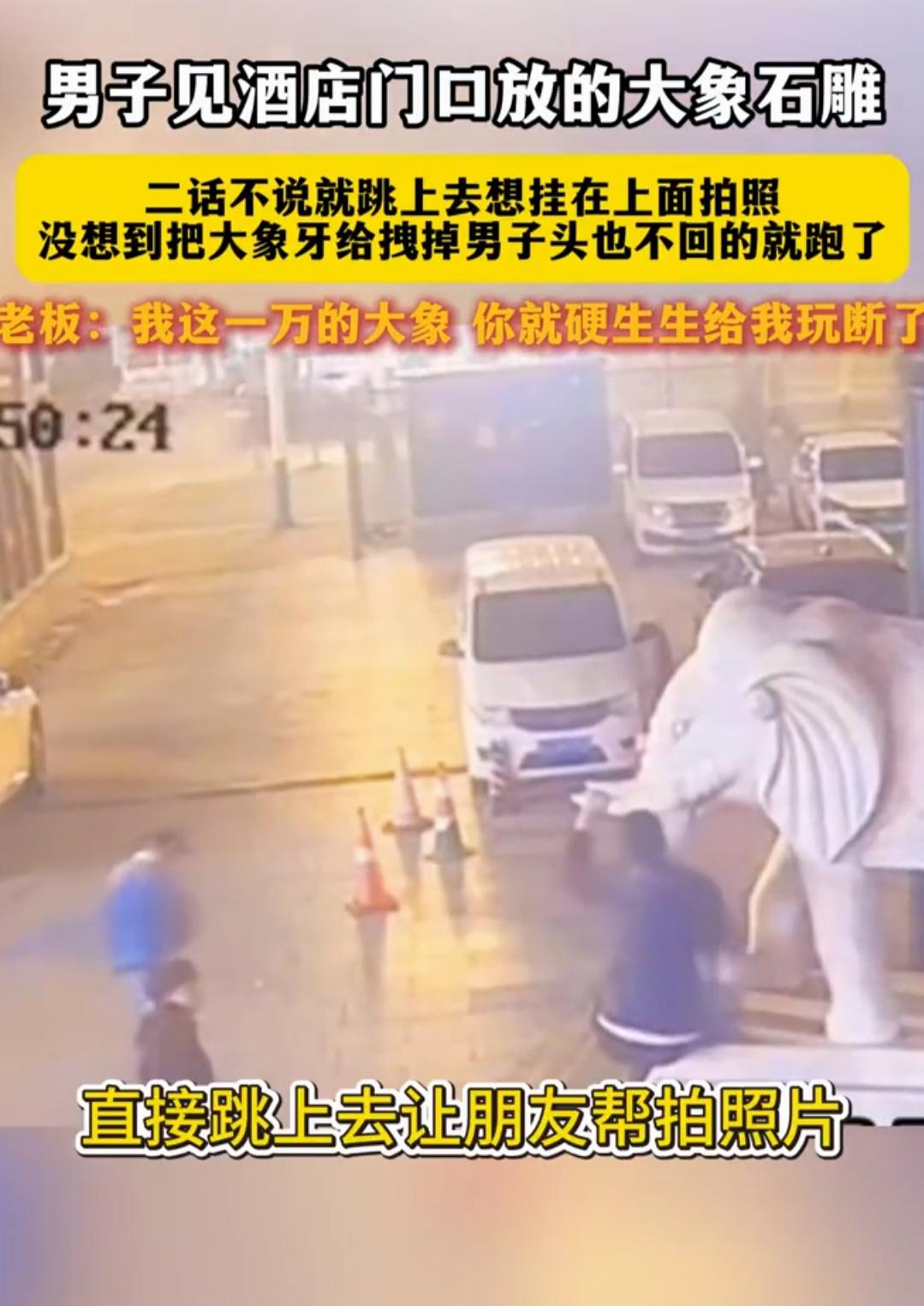 一张照片代价1万！男子拍照扳断“象牙”后跑路，全网笑喷：跑得了和尚跑不了监控
 