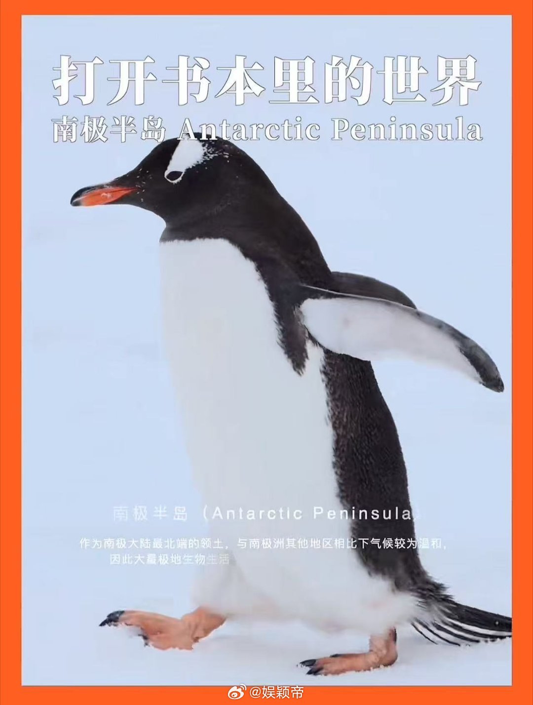 26岁去南极后发现人生没有终点 26岁踏上南极的土地，才懂人生从没有既定的终点，