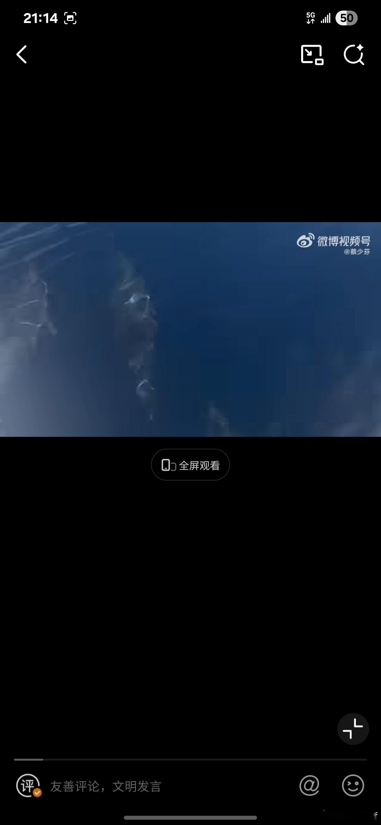 蔡少芬海上偶遇海豚隔着屏幕都感受到了这份溢出边框的快乐！果然是“芬享时刻”，有芬