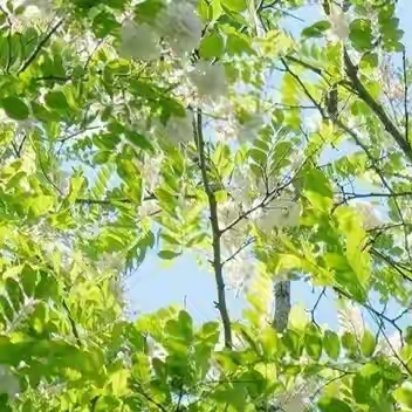 有些风景，只能远观，不可收藏，就像有些人，只适合邂逅，无法相伴。有些人，终究是可