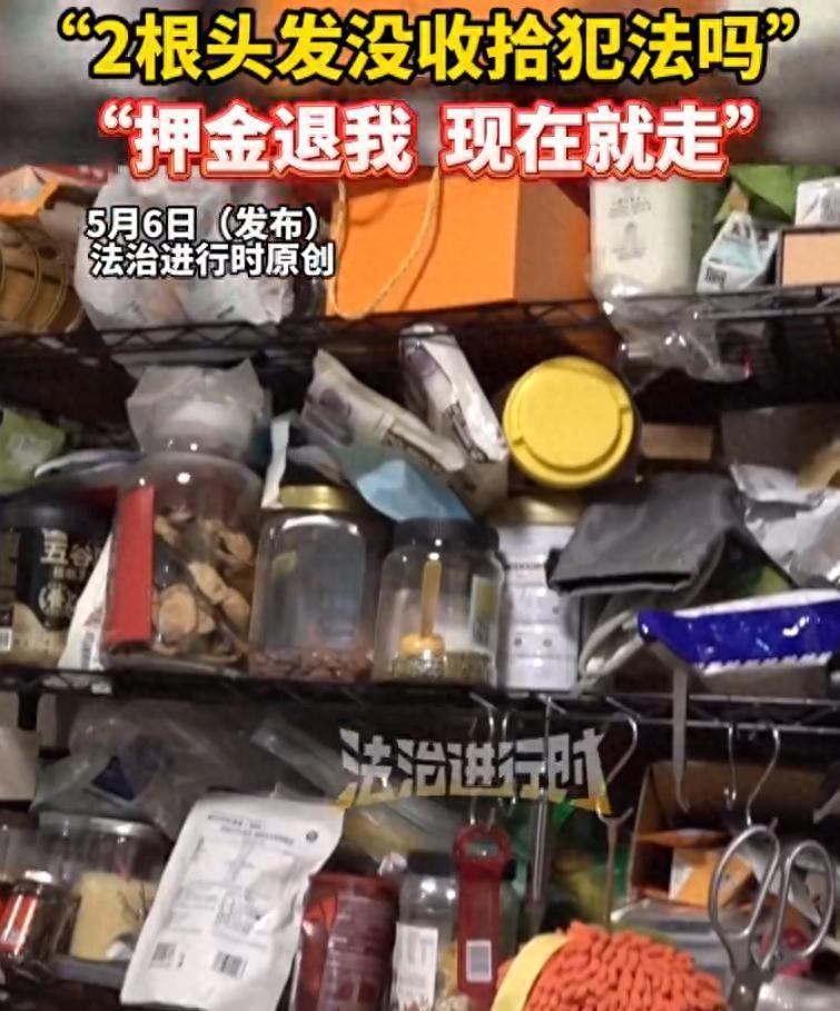 两根头发闹到报警！合租遇到 “极品室友”，谁懂这种委屈？

今天这事儿，合租过的