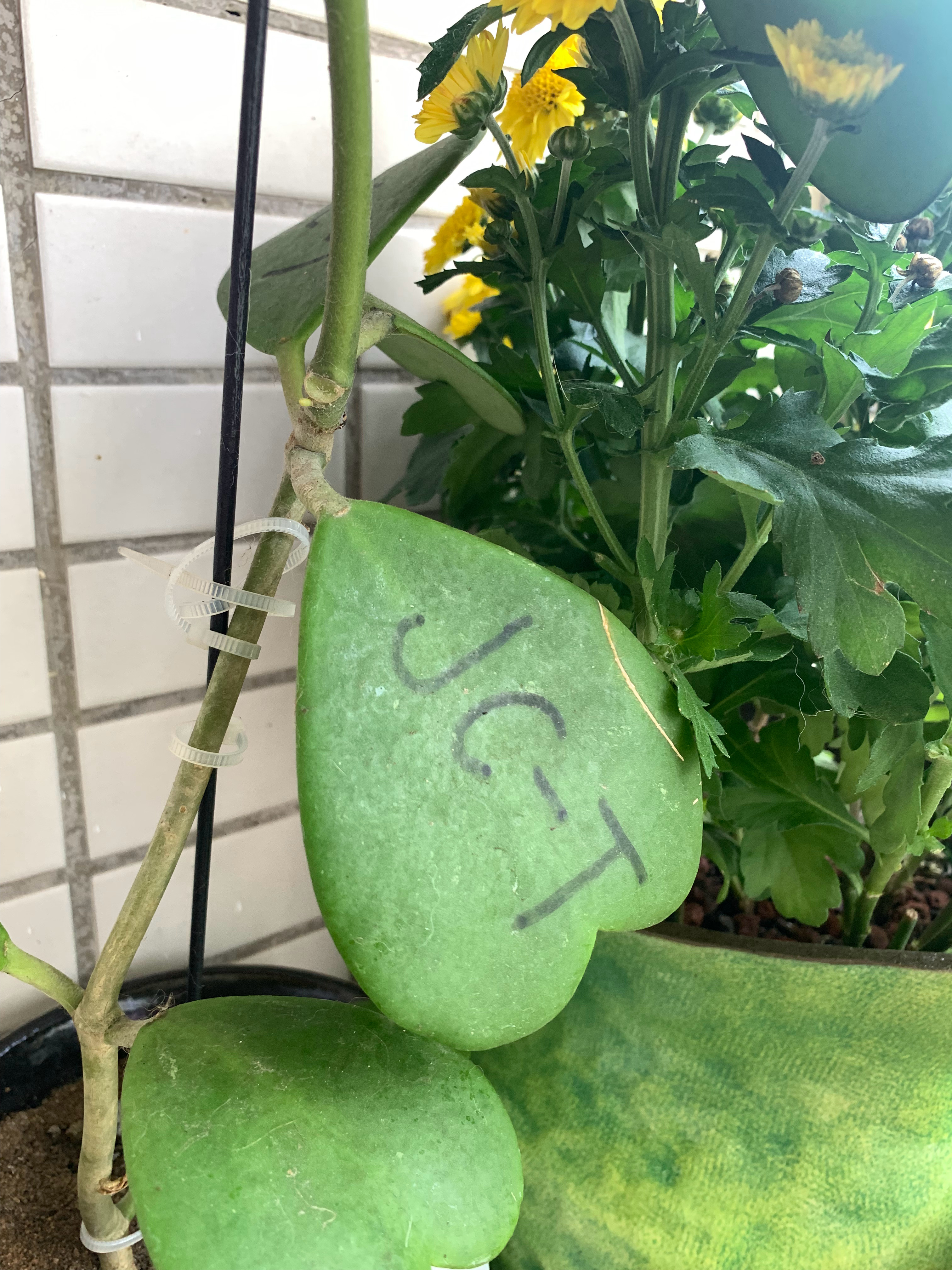 吃的瓜🍉越多越发感慨内娱有檀健次真伟大 