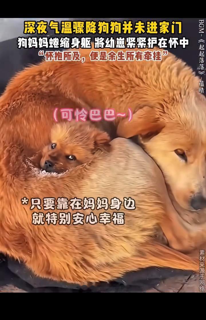 像是命运的伏笔。