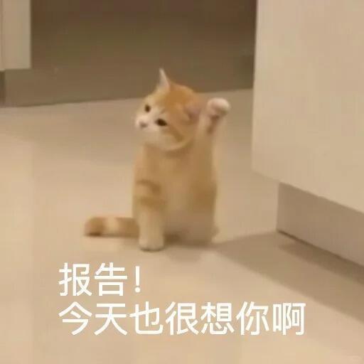 看何欢看到现在刘涛宝宝什么时候发小桃疯狂想