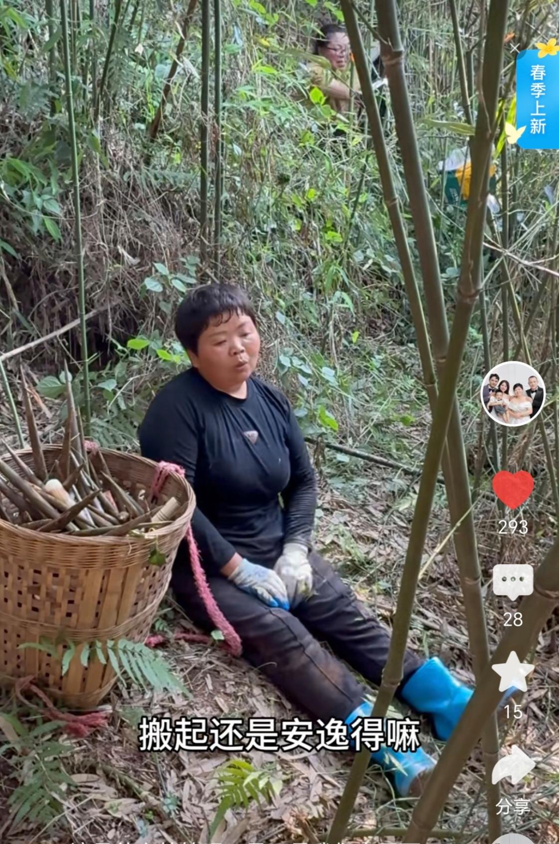 看着超妈和她亲人去找竹笋，气喘吁吁的样子好搞笑啊[捂脸]！
其实在四川的大山里头