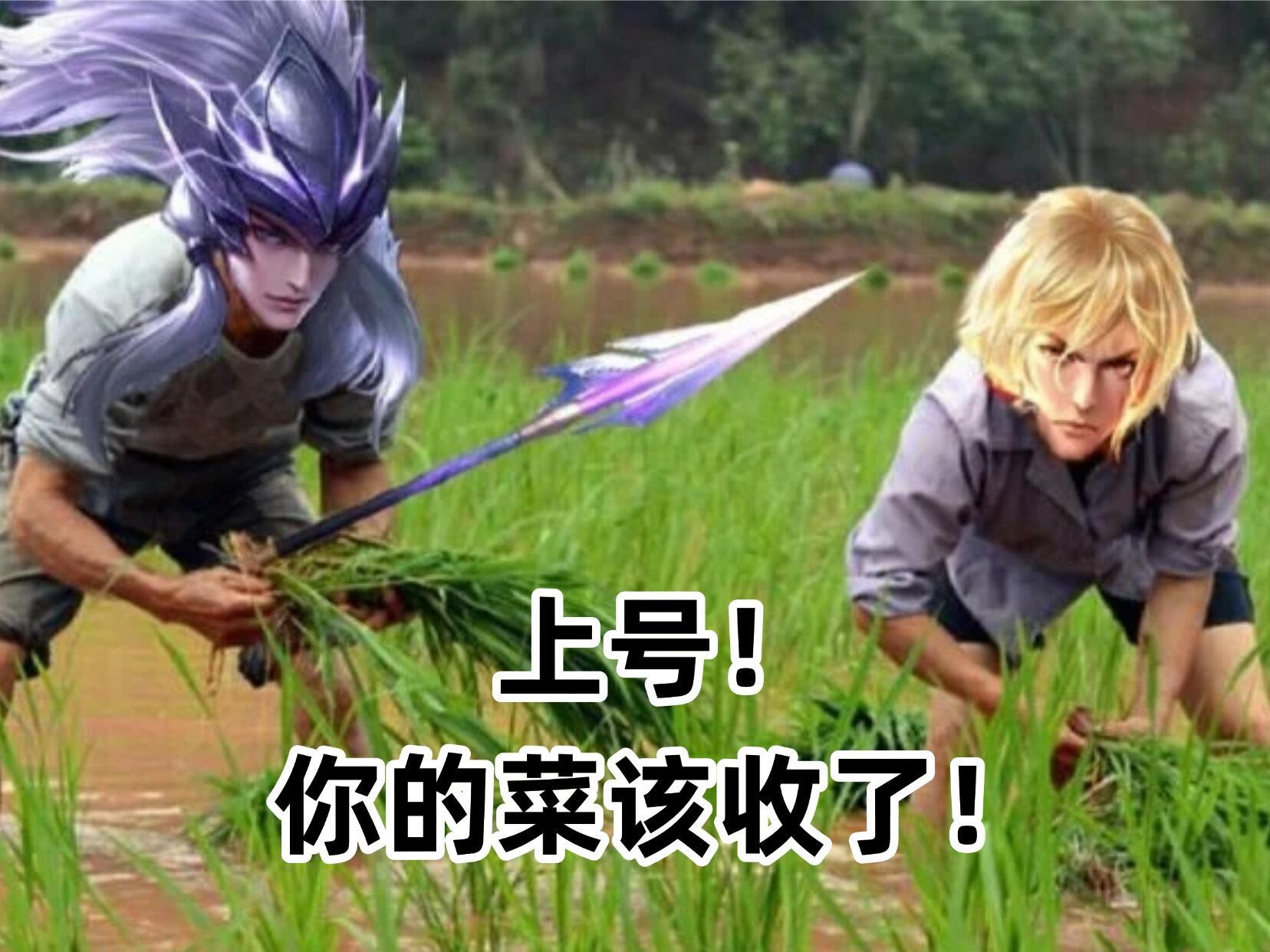 王者荣耀王者农场早八人王者荣耀我好友有个大国马超现在排位也不打了巅峰赛也不打了天