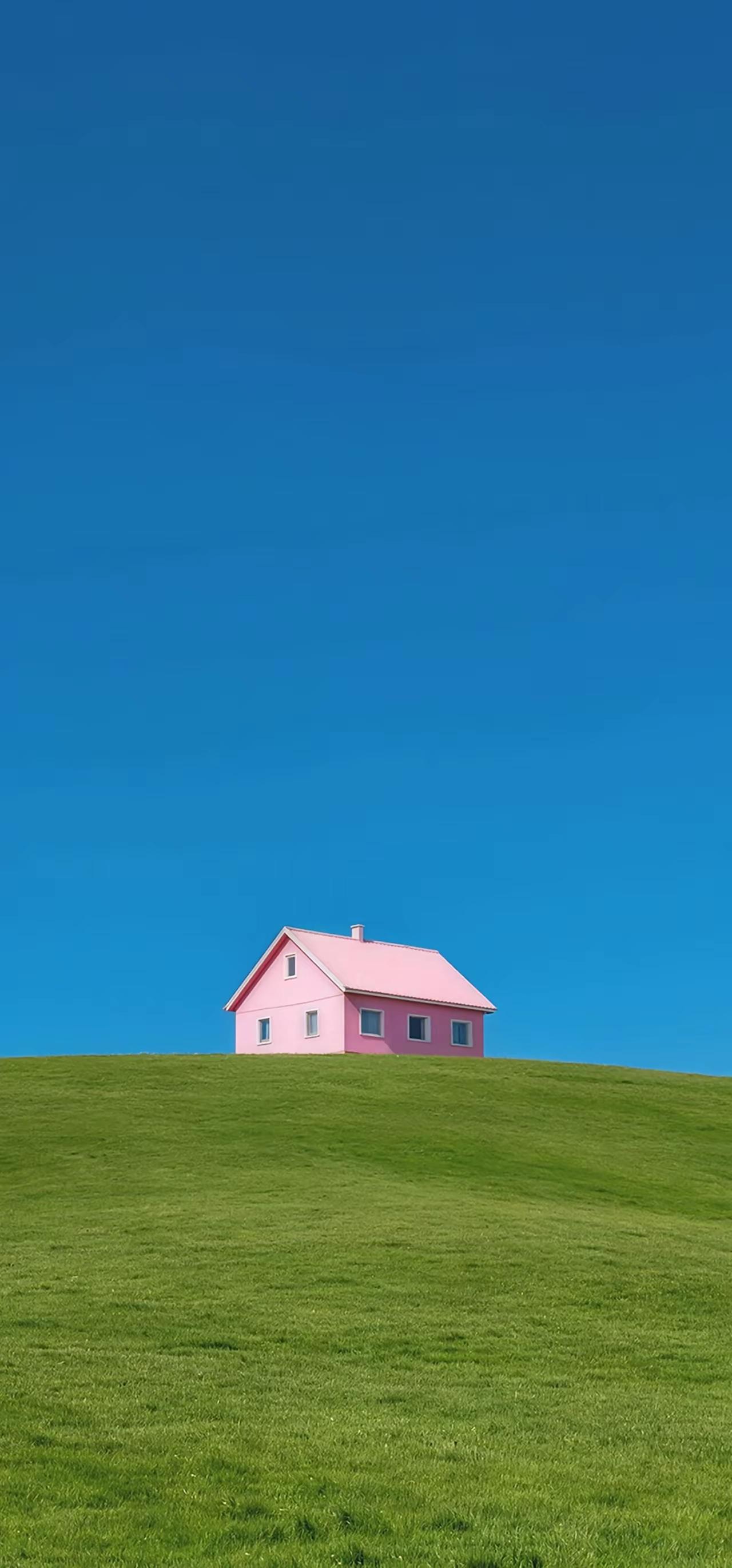 “初一（1）班”就是“小明”？“小明”就是“小强”？
——谈谈“萱草”和“黄花菜