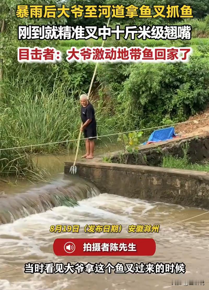 安徽滁州，男子和朋友大雨过后钓鱼，守半天一口没有。转头看见路边大爷玩鱼叉，本来满