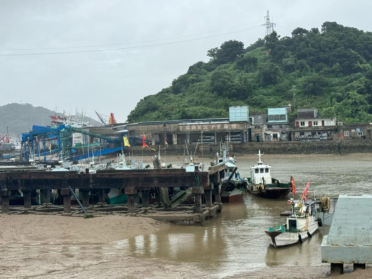 你说风声现在都还没停呢，坐在里头唱诗，外面树枝啪啪打玻璃，听着不心慌吗？咱不是说