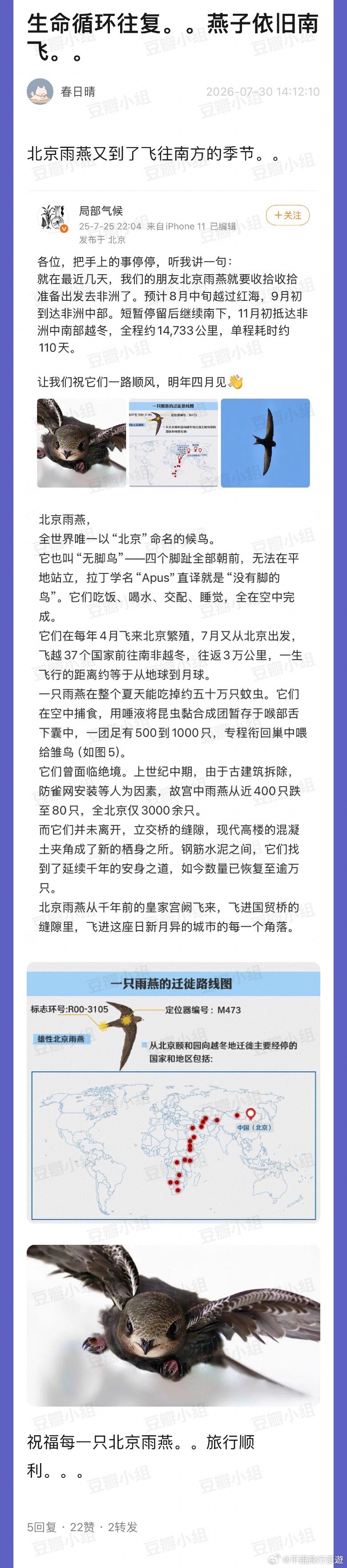 这么热就开始飞了嘛 