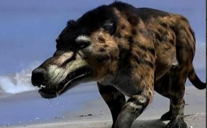 1973年，一头神秘野兽突然闯进了军营觅食，被哨兵当场射杀，没曾想，当看到这头野