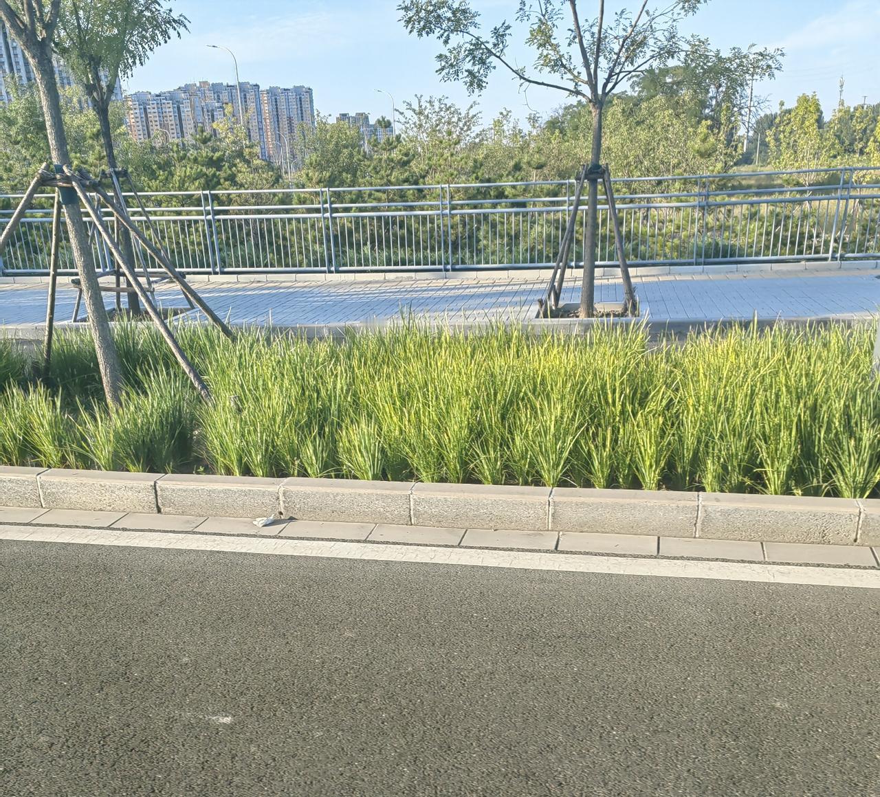 跟老公battle后的一二事，我俩进入了一种很微妙的“非典型冷战”状态！

早上