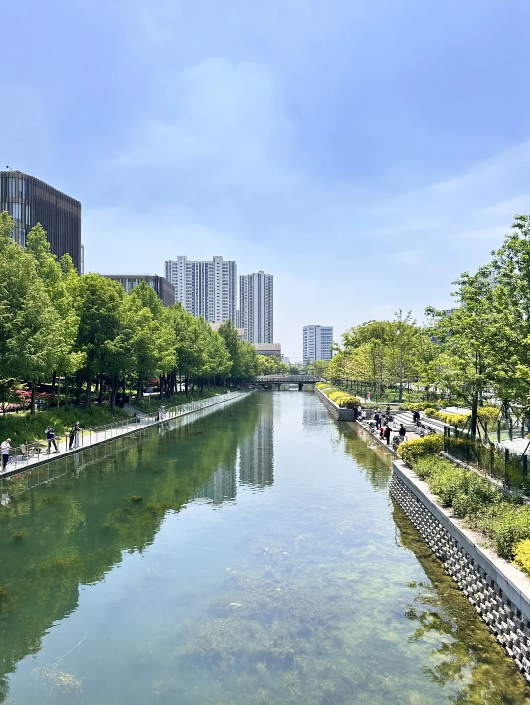 跟风来徐汇亚马逊，还挺漂亮的！