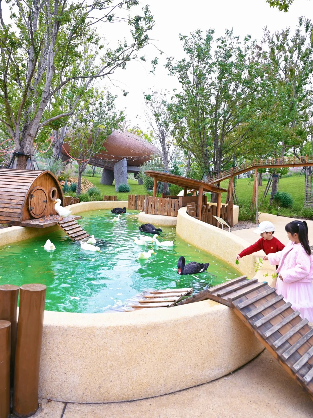 武汉天然水乐园！麓客岛的水清到发光