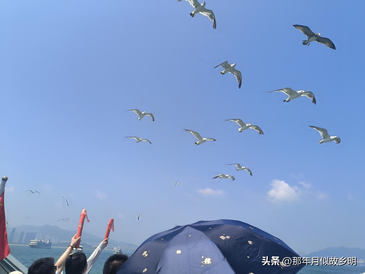 从山东回来后，我的感悟是:

过好自己的生活，别讲那么多情怀。

你曾经付出的情