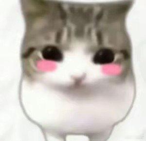 本女王新打的两个耳洞简直被我养的太好了kkkkkk 
