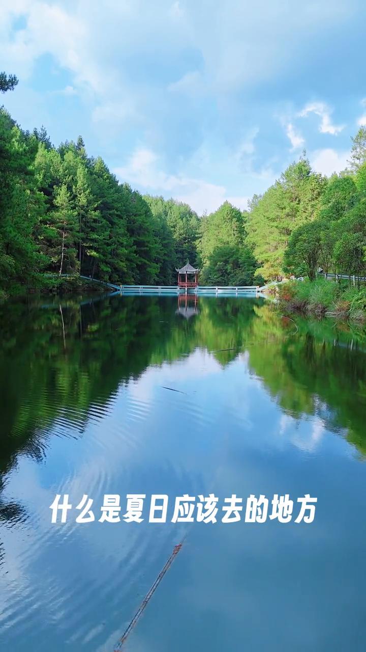 什么是夏日应该去的地方？是海边？是雪山？不，都不是，而是更能快捷方便到达的云栖湖