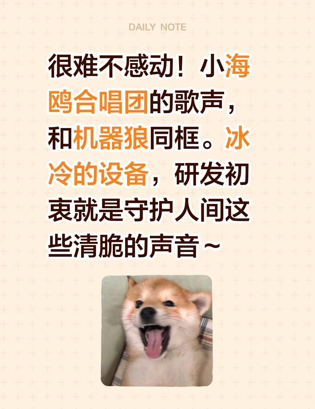 很难不感动！小海鸥合唱团的歌声，和机器狼同框。冰冷的设备，研发初衷就是守护人间这