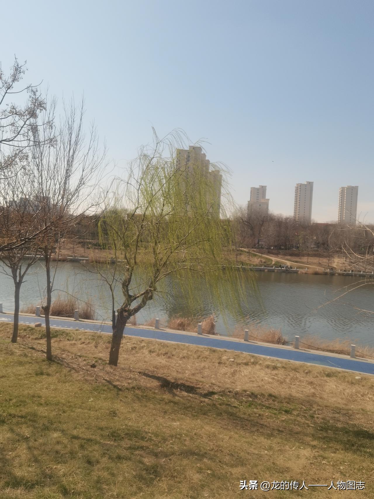 春日生活打卡季