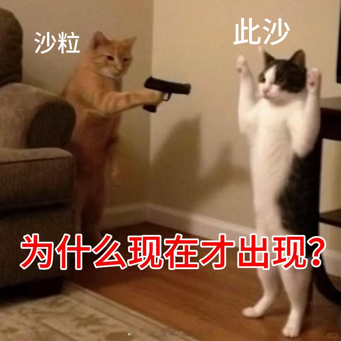 我表情包都做好了 只等此沙出现 ​​​