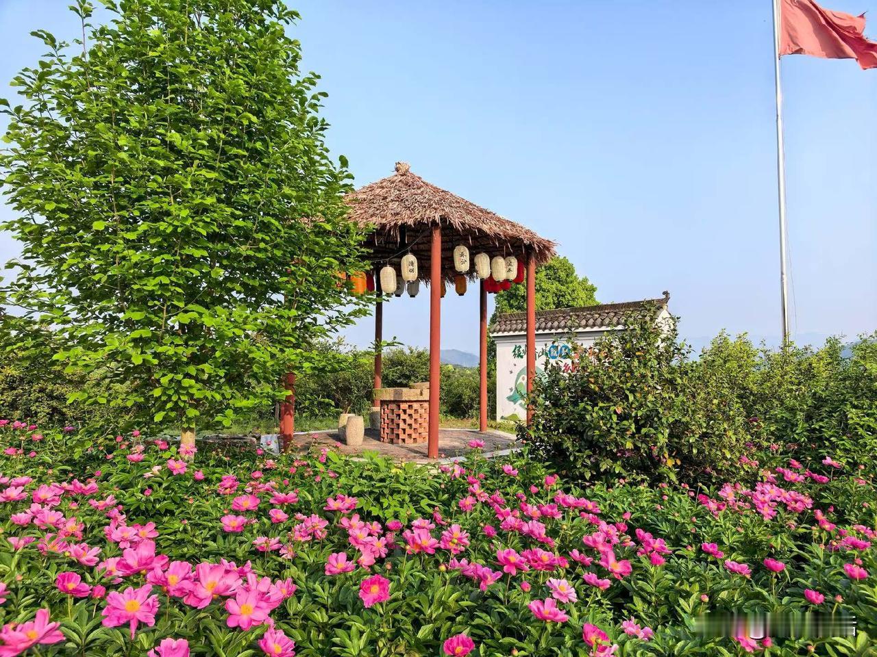 大家发现没有？以后亲情会越来越淡薄，我姐的孩子，我小叔家的孩子都是00后的，我姐