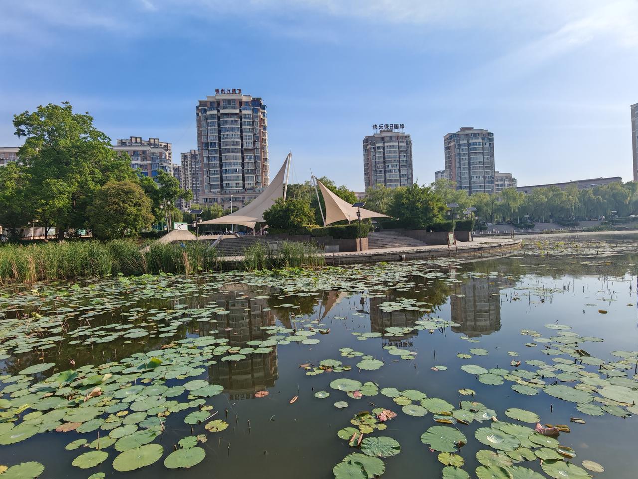 夏日拍照，绿树成荫与荷荷美美简直是绝配。就像西湖，“接天莲叶无穷碧，映日荷花别样