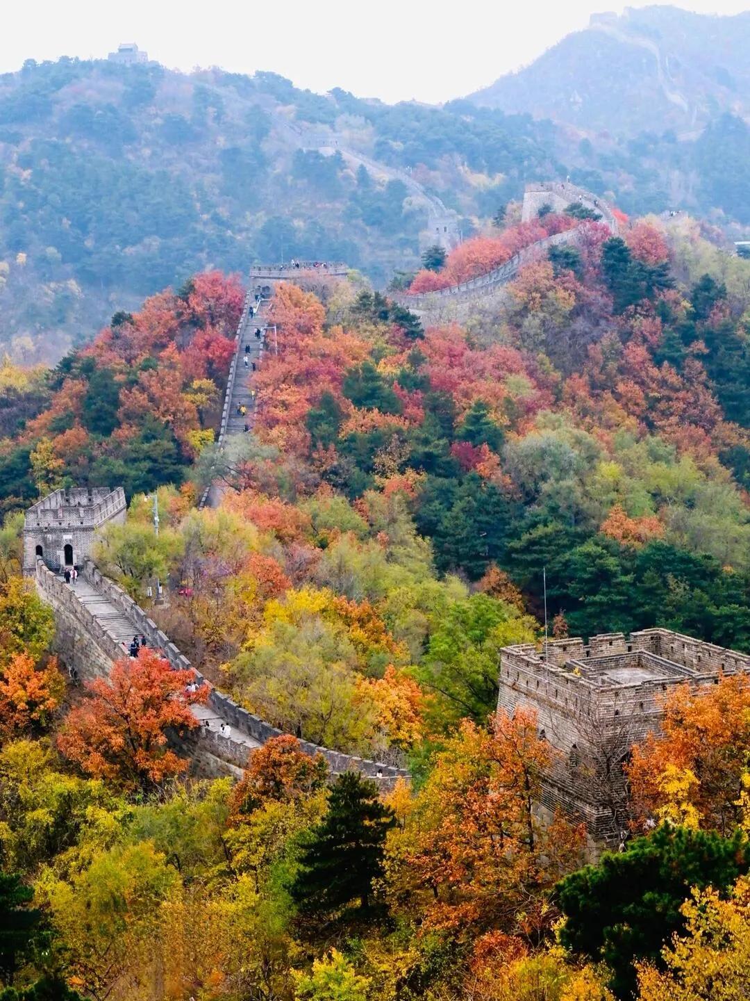 七律  无题（一百）

山居岁月入诗行，
花簇菜园鸟语忙。
叶落深林芳满路，
梅