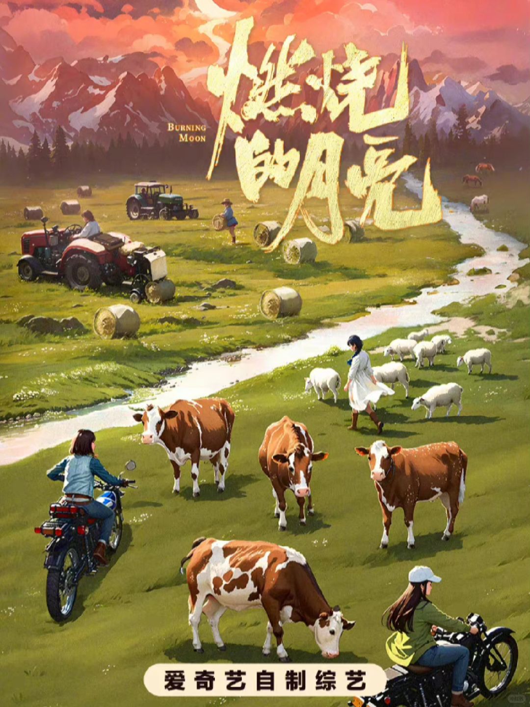 女版种地吧⁉️导演您好 以下是我的自我介绍