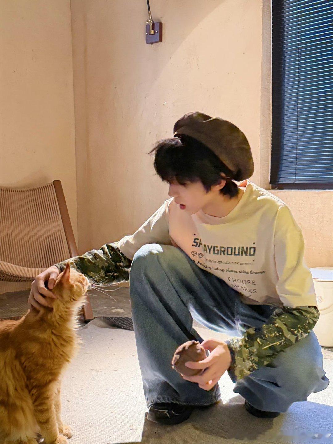 兔兔和猫猫